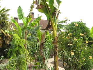 Great Dixter